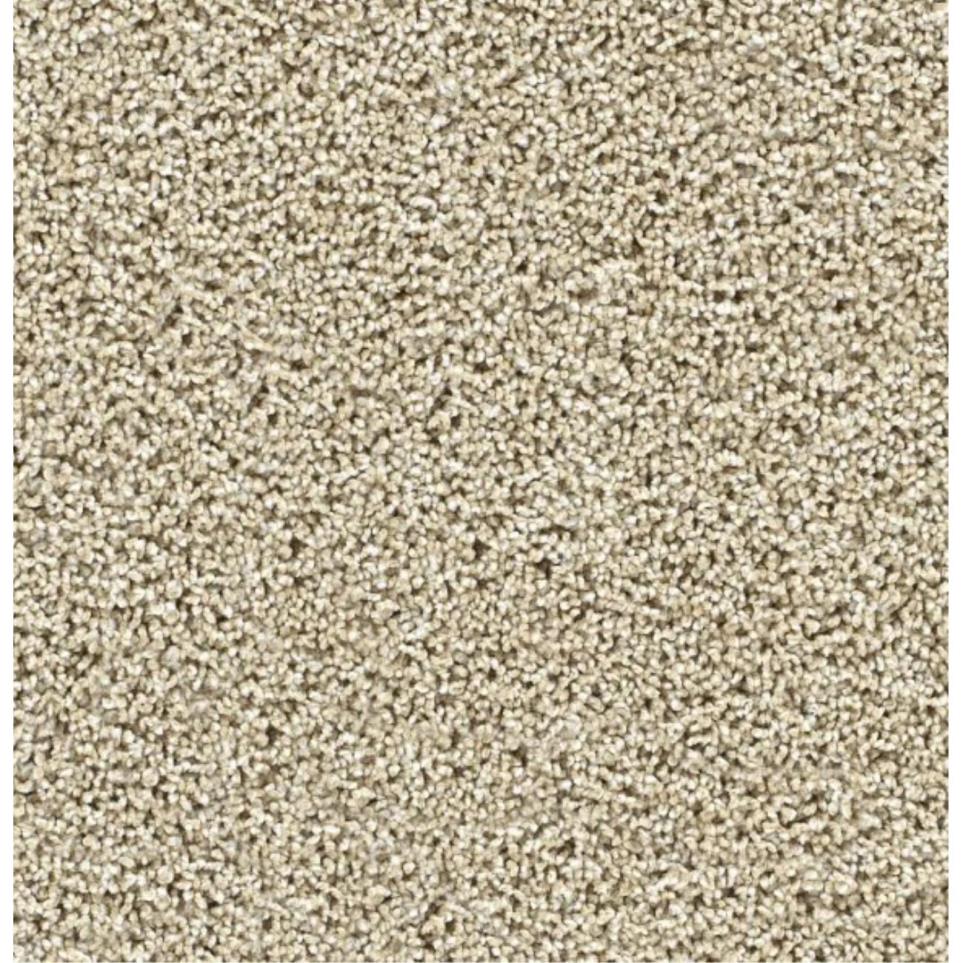 Textured Saxony Great Addition Beige/Tan Carpet