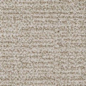 Pattern Marron Beige/Tan Carpet