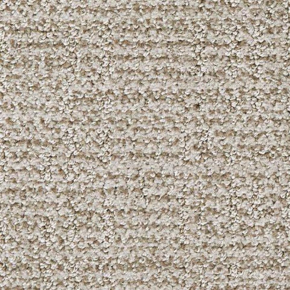 Pattern Marron Beige/Tan Carpet