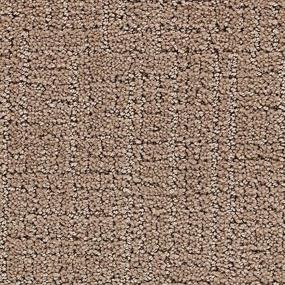 Pattern Mansion Brown Carpet