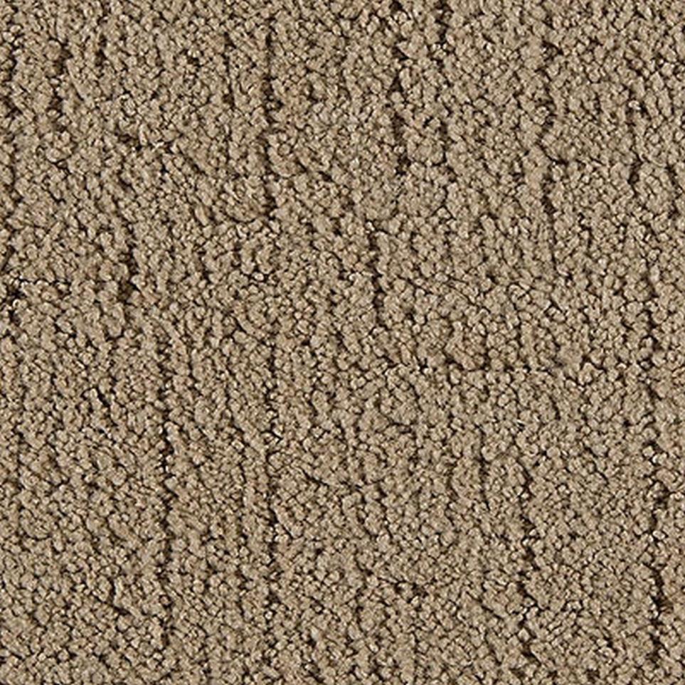 Pattern Past Lives Brown Carpet