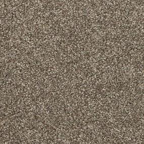 Texture Sweet Pea Brown Carpet