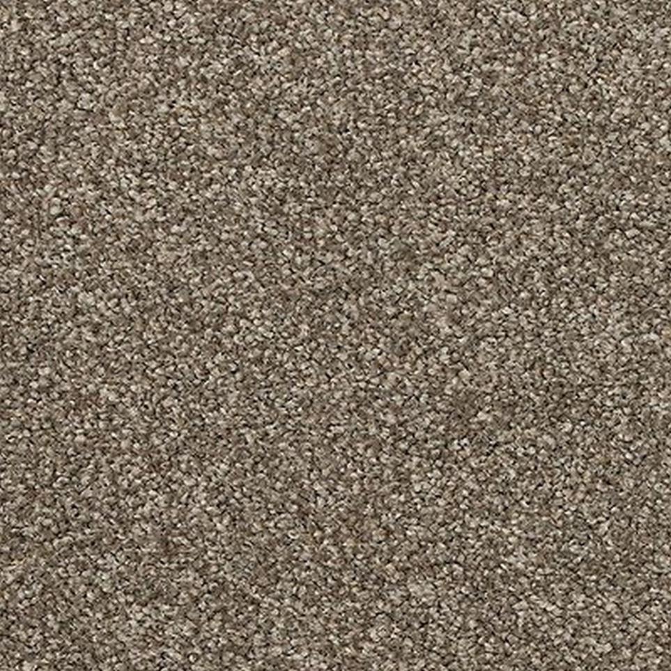 Texture Sweet Pea Brown Carpet