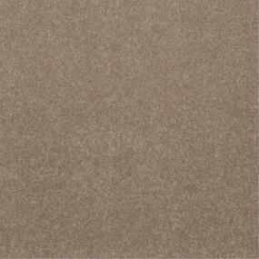 Plush Saxony Wheatfield Beige/Tan Carpet
