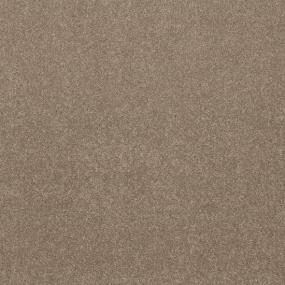 Plush Wheatfield Beige/Tan Carpet