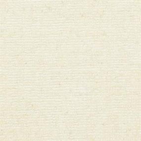 Loop Forte Beige/Tan Carpet