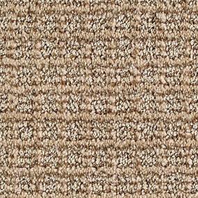 Pattern Pyramid Brown Carpet