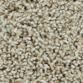 Textured Saxony Cameo Stone Beige/Tan Carpet