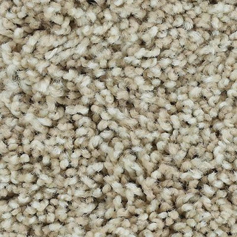 Textured Saxony Cameo Stone Beige/Tan Carpet