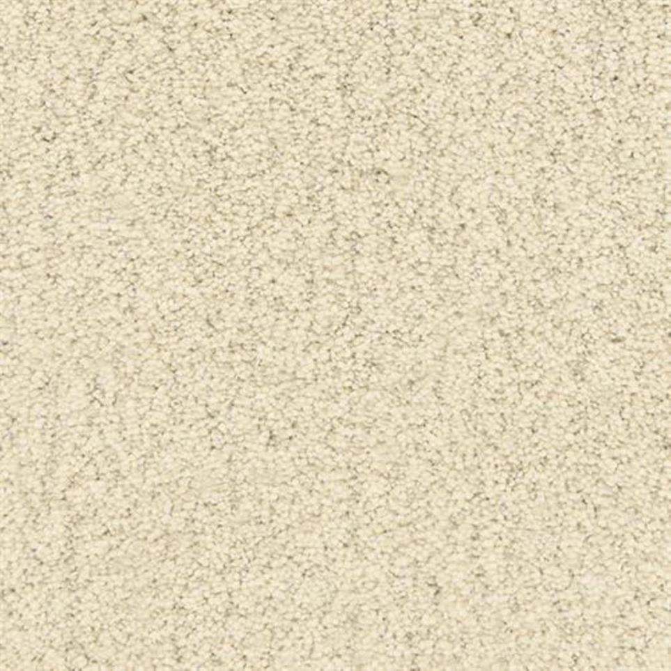 Textured Saxony East Of Eden Beige/Tan Carpet