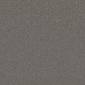 Textured Saxony Prairie Gray Carpet