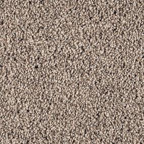 Textured Saxony Dapper Beige/Tan Carpet
