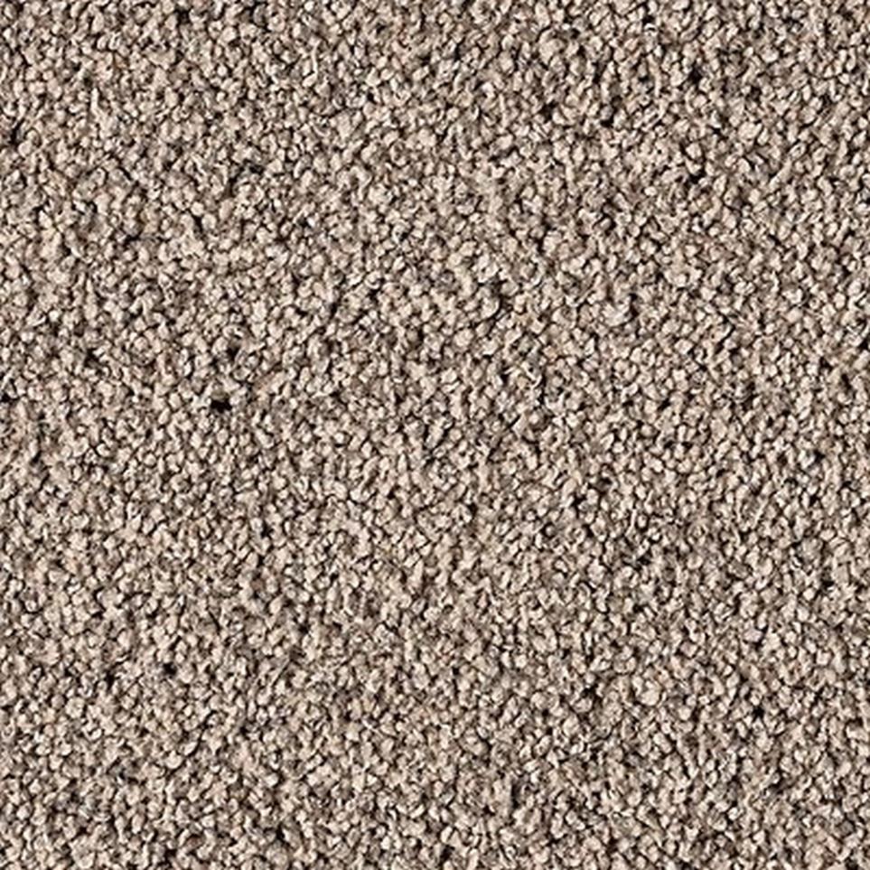 Textured Saxony Dapper Beige/Tan Carpet