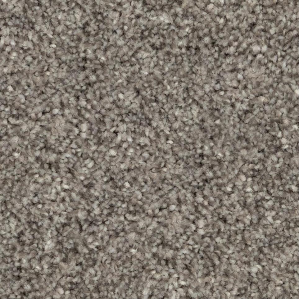 Casual Texture Carrington Gray Carpet