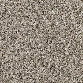 Textured Saxony Ancient Ruins Beige/Tan Carpet