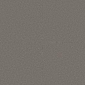 Textured Saxony Earth Tone Beige/Tan Carpet
