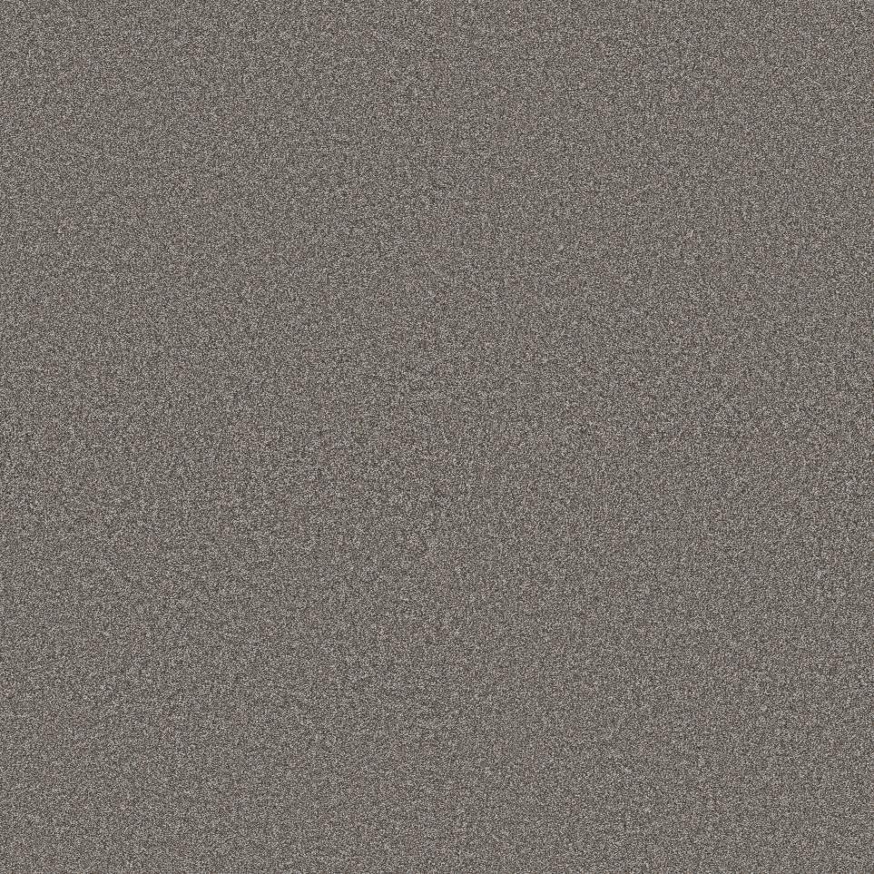Texture Earth Tone Beige/Tan Carpet