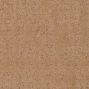 Pattern Cabot Trail Beige/Tan Carpet