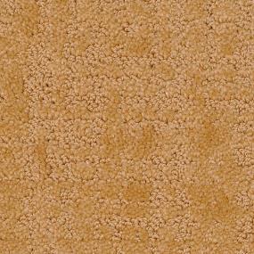 Pattern Ochre Beige/Tan Carpet