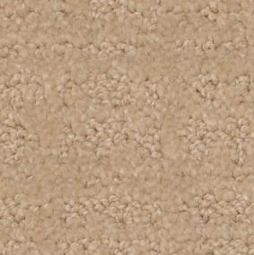 Pattern Seashell Beige/Tan Carpet