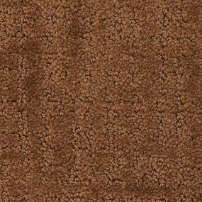 Pattern Northwood Brown Carpet