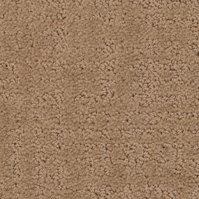 Pattern Smoky Ash Beige/Tan Carpet