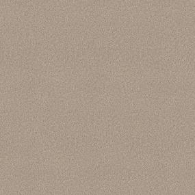 Plush Saxony Safari Brown Brown Carpet