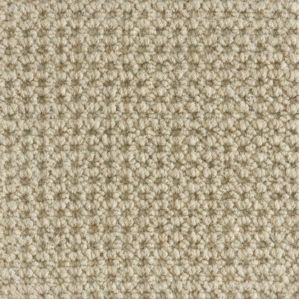 Loop Taupe Beige/Tan Carpet