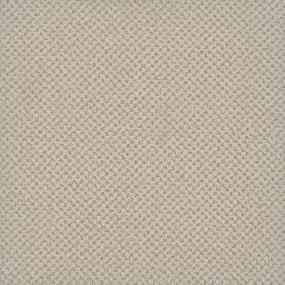Pattern Promises Beige/Tan Carpet