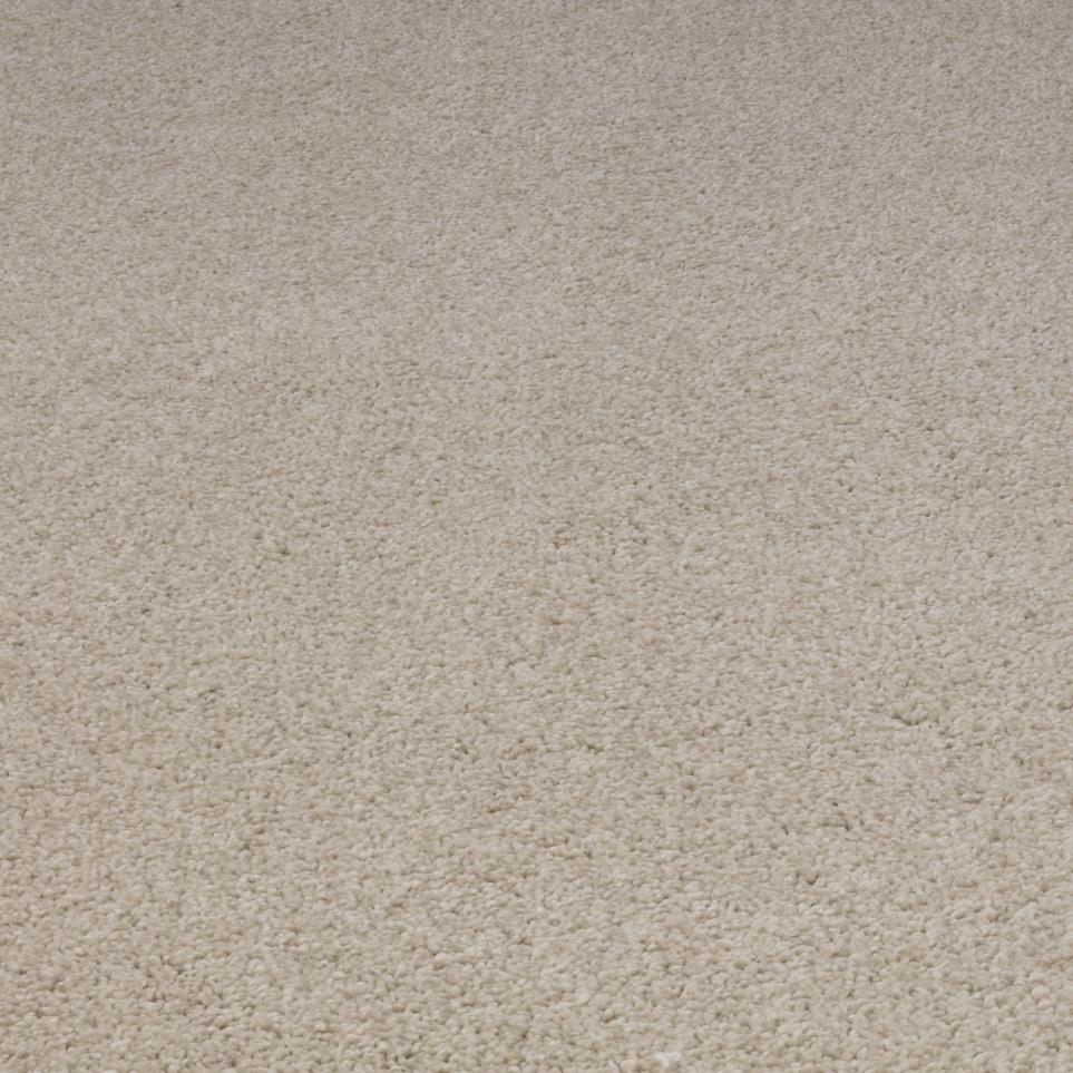 Textured Saxony Almond Chips Beige/Tan Carpet