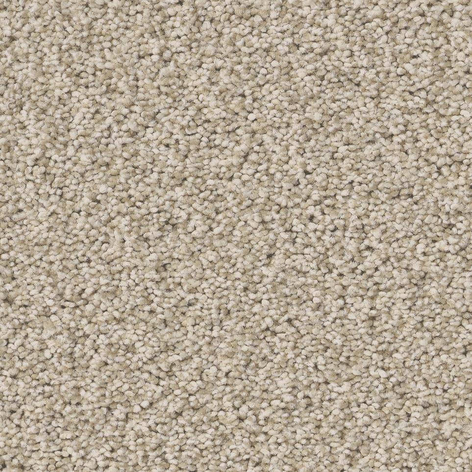 Textured Saxony Almond Chips Beige/Tan Carpet