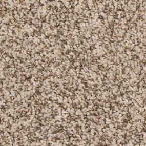 Texture Deer Valley Beige/Tan Carpet