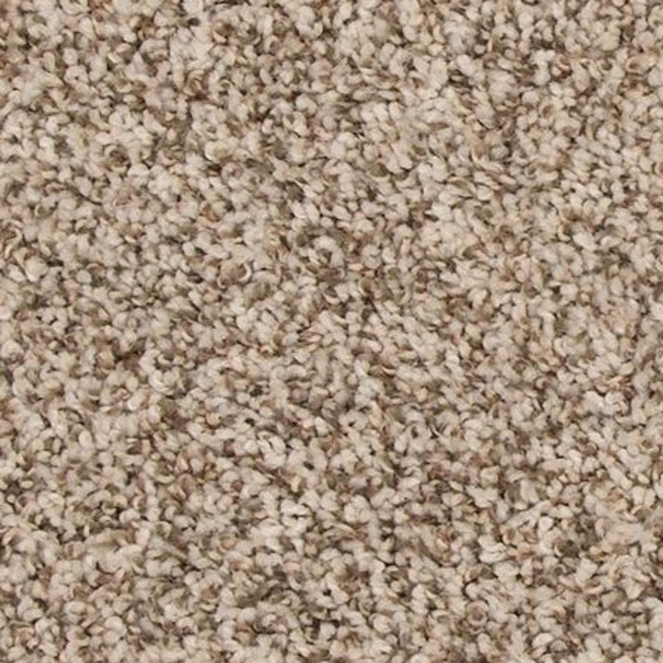 Textured Saxony Deer Valley Beige/Tan Carpet