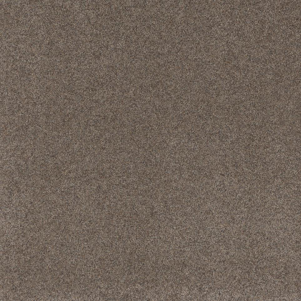 Texture Clifton Brown Carpet