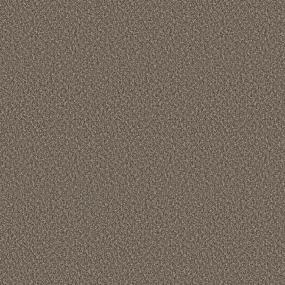 Textured Saxony Debonaire Gray Carpet