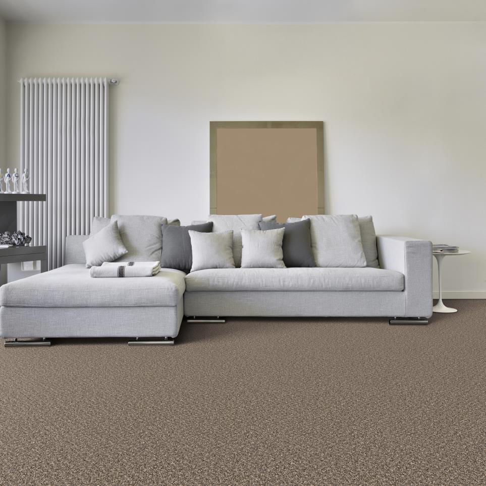 Texture Debonaire Gray Carpet