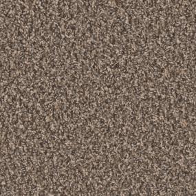 Textured Saxony Debonaire Gray Carpet