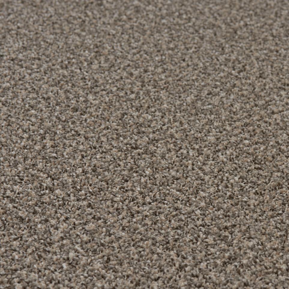 Textured Saxony Debonaire Gray Carpet