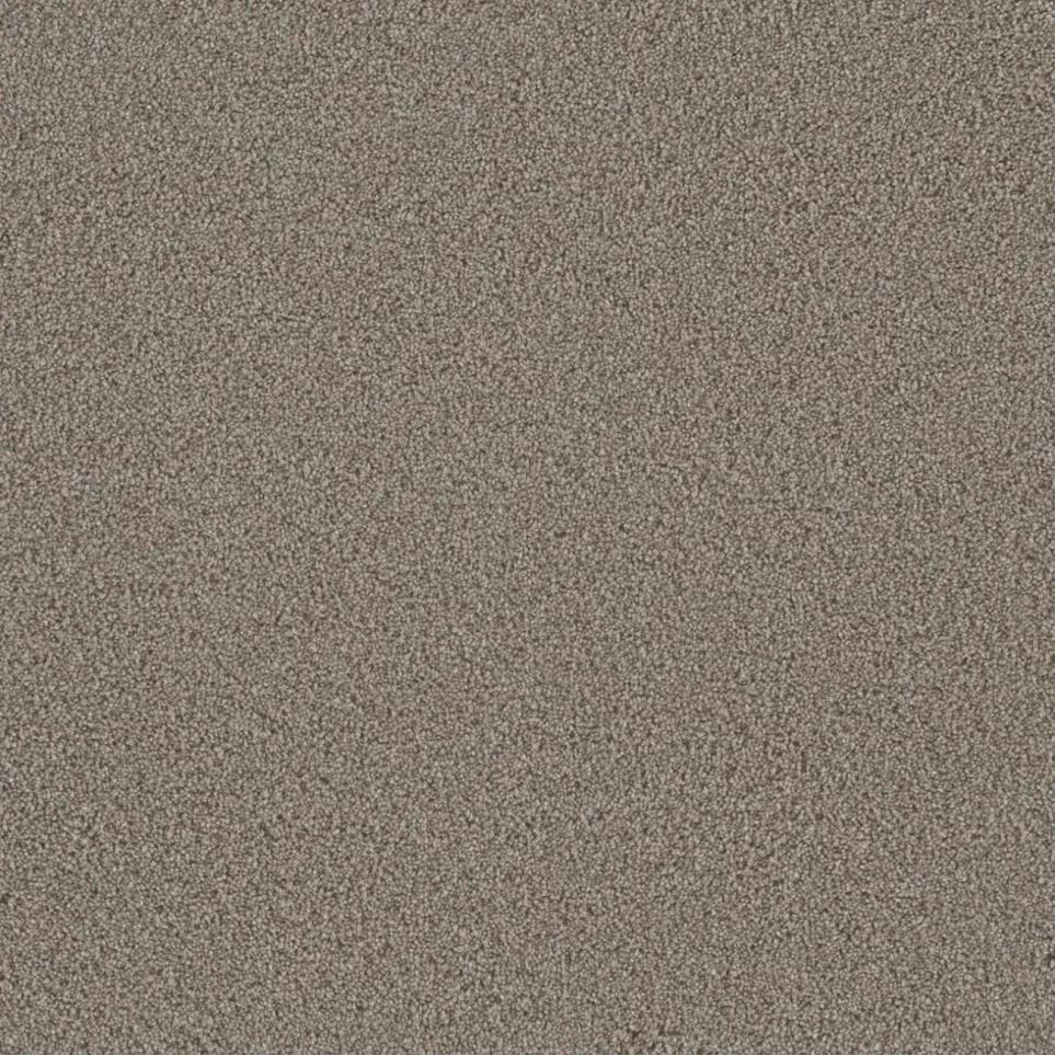 Textured Saxony Thoughtful Memories Beige/Tan Carpet