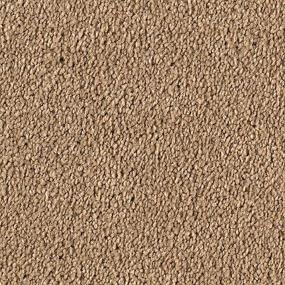 Textured Saxony Crossroads Brown Carpet