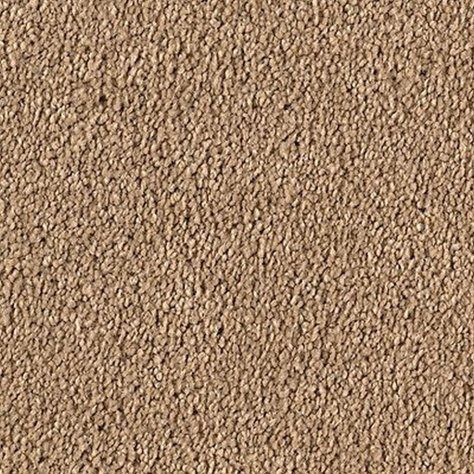 Textured Saxony Crossroads Brown Carpet