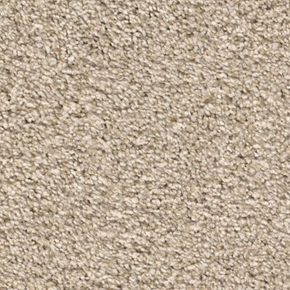 Textured Saxony Atrium Beige/Tan Carpet