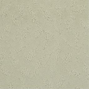 Pattern Ash Beige/Tan Carpet