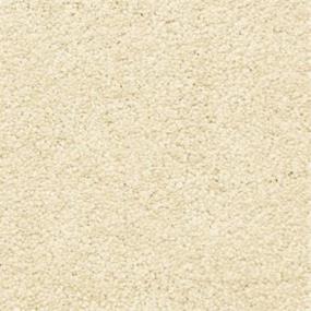 Casual Texture Peppercorn Beige/Tan Carpet