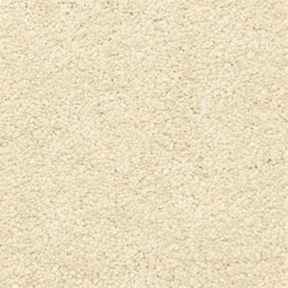 Casual Texture Peppercorn Beige/Tan Carpet