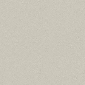 Texture Vapor Gray Carpet