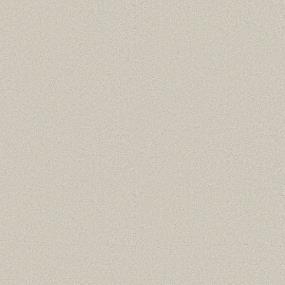 Texture MINIMALIST Gray Carpet