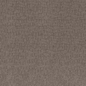 Pattern Praline Brown Carpet