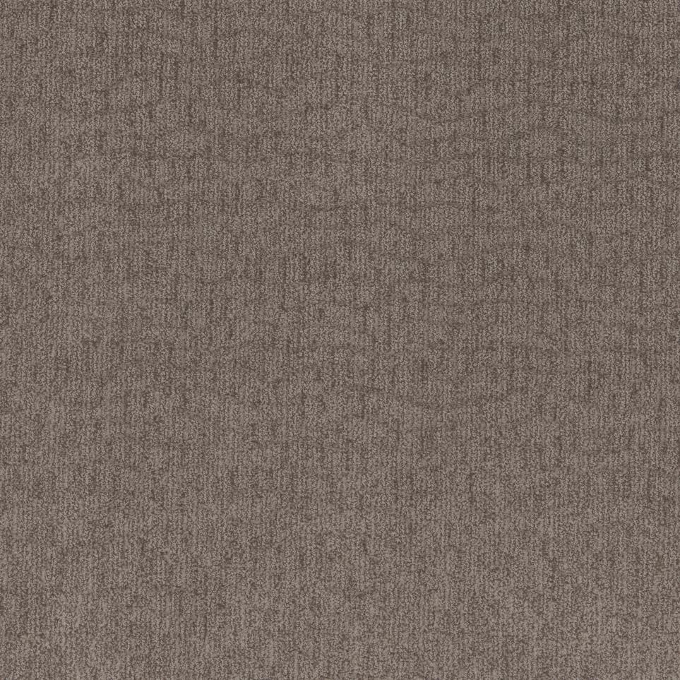 Pattern Praline Brown Carpet