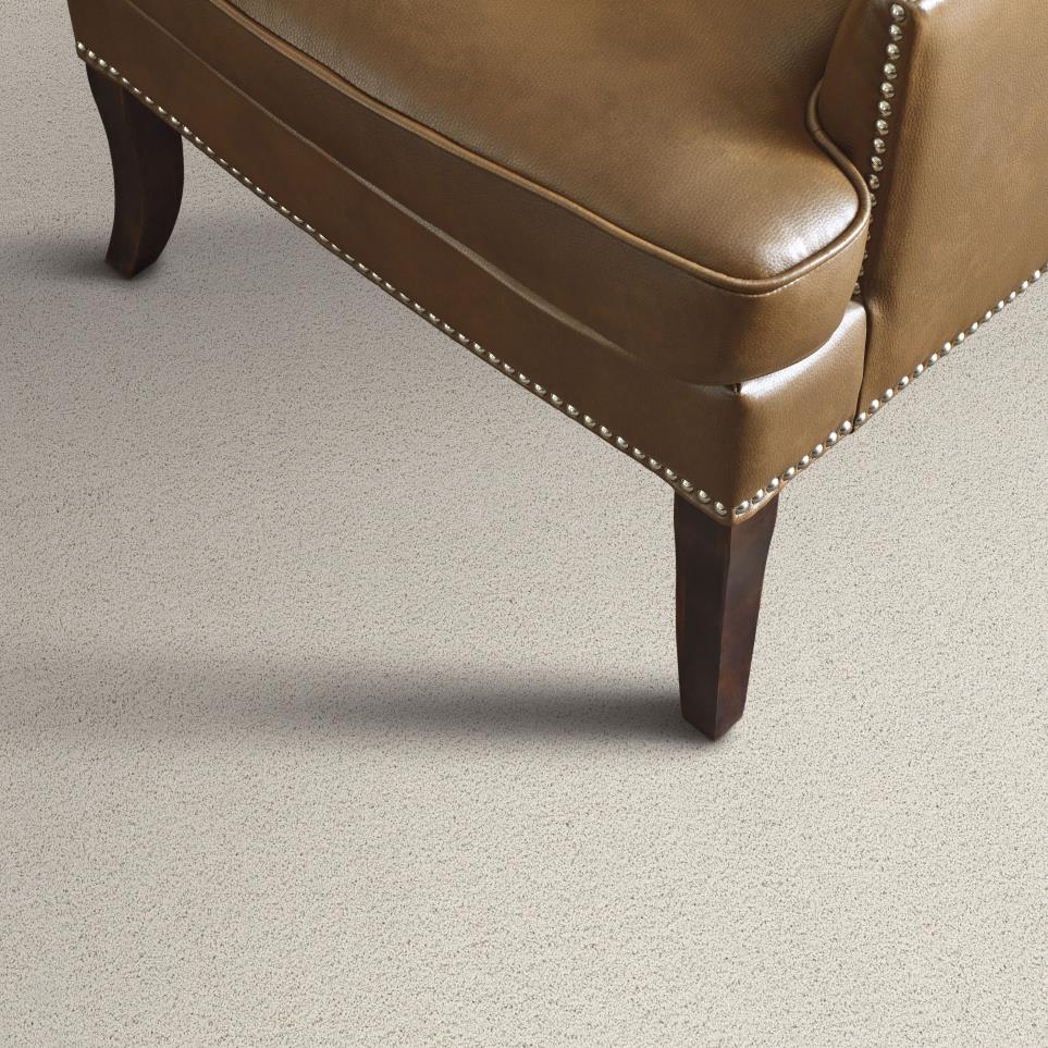 Frieze Serenity Beige/Tan Carpet